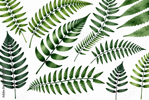 Watercolor Ferns Illustration-Green Fern Leaves on White Background-Botanical Watercolor Art-Nature Inspired Wall Decor-Fern Pattern Design