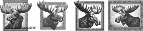 Majestic European moose head halftone stipple bundle design black engraving vintage frame wildlife animal forest nature rustic detailed illustration vector art