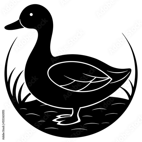 duck on white background