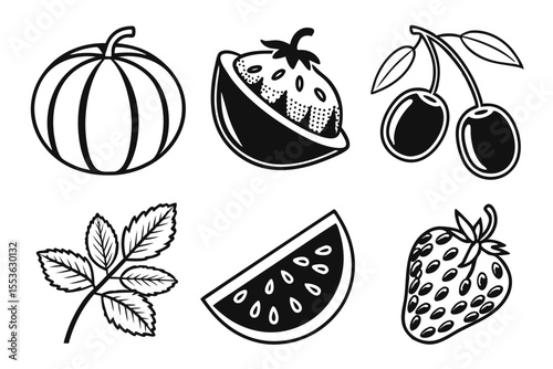 Various fruits and pumpkin illustration on white background