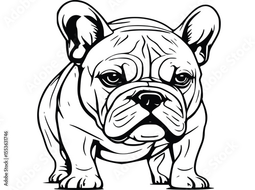 french bulldog puppy