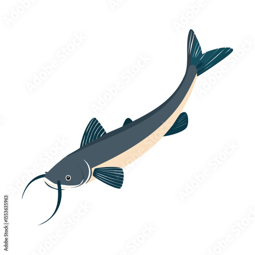 A detailed illustration of a catfish, showcasing its unique features and aquatic habitat. The fish is depicted in a clear, detailed illustration with all of the defining features of the species.