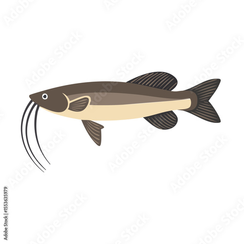 A captivating illustration of a catfish. The catfish is depicted with a long, slender body and distinctive barbels