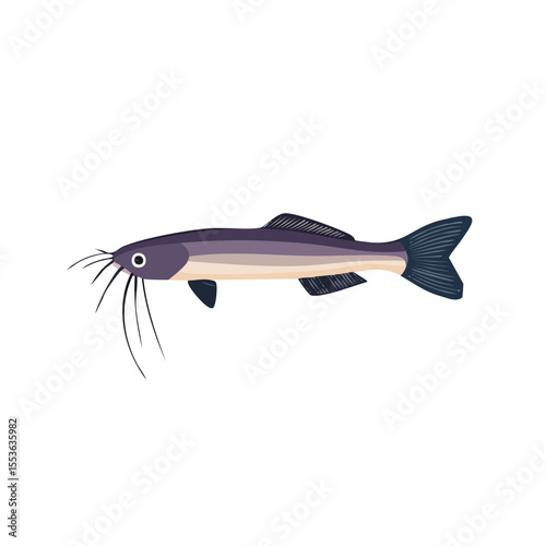 A single catfish, portrayed in an illustrative style