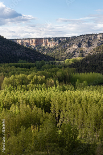 Hoces del río duratón natural park showing lush green forest and limestone cliffs photo