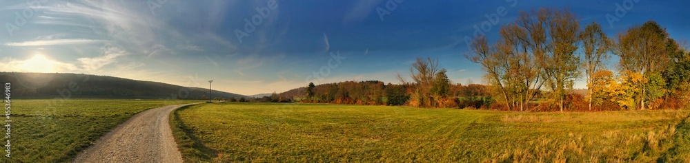 Fototapeta premium Picturesque rural panorama with trees and cloudy sky in golden sunlight