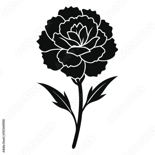 Delicate Line Art Carnation Flower – Elegant Botanical Vector for Branding and Romantic Invitations