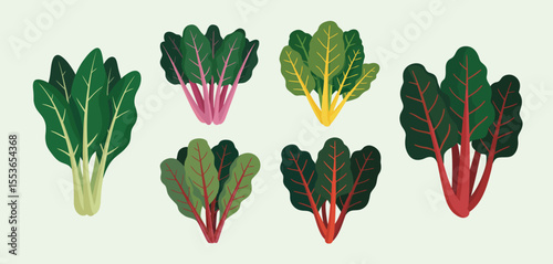 Collection of colorful swiss chard leaves and stems on a light background