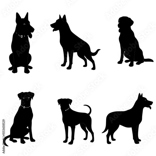 Vector illustration. Set of silhouettes of dogs of different breeds in different poses.