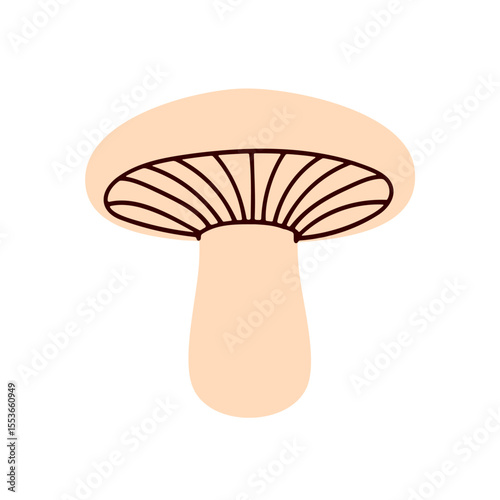 Mushroom with beige cap and gill lines underneath