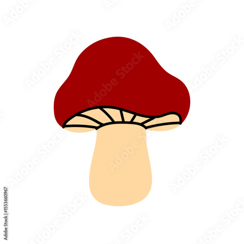Red forest mushroom with wide wavy cap and thick stem