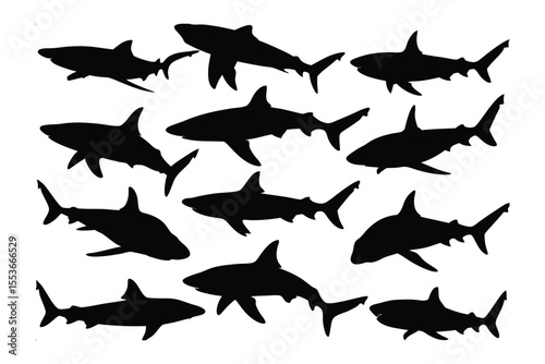 Shadowed Sharks: A striking silhouette of sharks in a black ocean, the dark shapes evoking a sense of mystery, power, and the hidden world beneath the waves. 