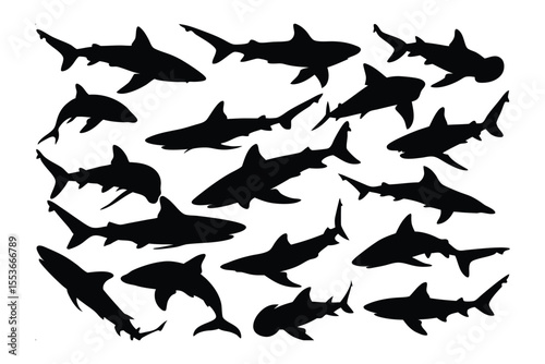 Silent Predators: A stark, high-contrast study of multiple shark silhouettes elegantly captured, their forms dancing in the depths. A symbolic representation of nature's mysteries.