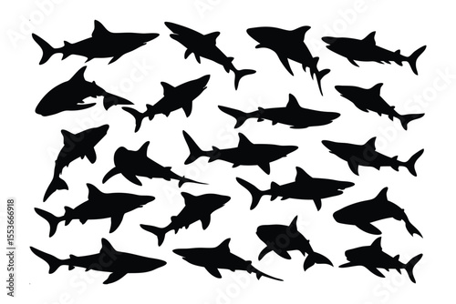 Shadows of the Sea: A mesmerizing ensemble of shark silhouettes elegantly displayed, evoking the power of marine wildlife and highlighting their stark forms.