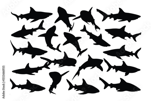 Shark Silhouette Scene: A captivating collection of shark silhouettes creates a stunning, dynamic composition. Each shark form embodies power and grace. Ideal for designs representing aquatic life.