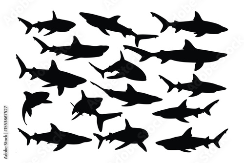 Shadow Sharks' Symphony: An artistic arrangement of dark shark silhouettes, each a testament to the sea's mysteries. It is an illustration of the aquatic giants.