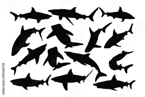 Oceanic Shadows: A collection of shark silhouettes, creating a dynamic pattern with diverse shapes and angles, perfect for illustrating underwater marine life.