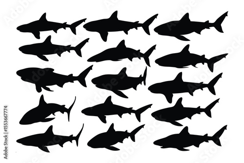 Silhouettes of the Deep: A graphic display presents a captivating silhouette of sharks, set against a vibrant canvas.