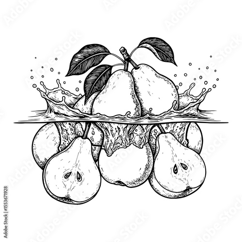 Group of Fresh Pears and Leaves Splashing Falling into Water Black and White Outline Line Art Drawing
