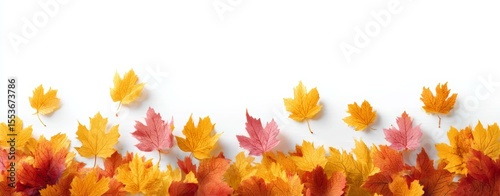 Autumn Leaves Arrangement on a White Background