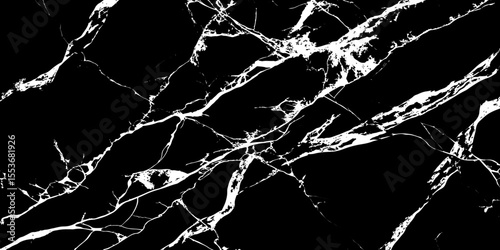 Φωτογραφία "Elegant black and white marble texture with bold, natural veining