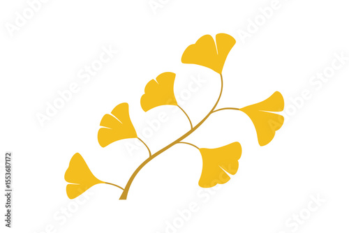 Golden Ginkgo Biloba Branch Autumnal Leaves Illustration