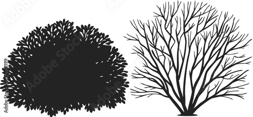 Black and White Bush Silhouettes: Summer & Winter