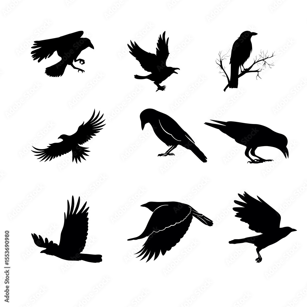 Obraz premium silhouette Crow icon