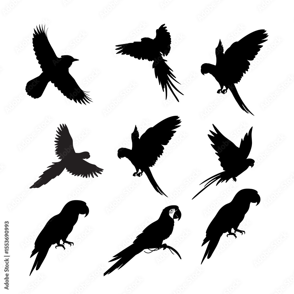 Obraz premium set of silhouettes of parrots