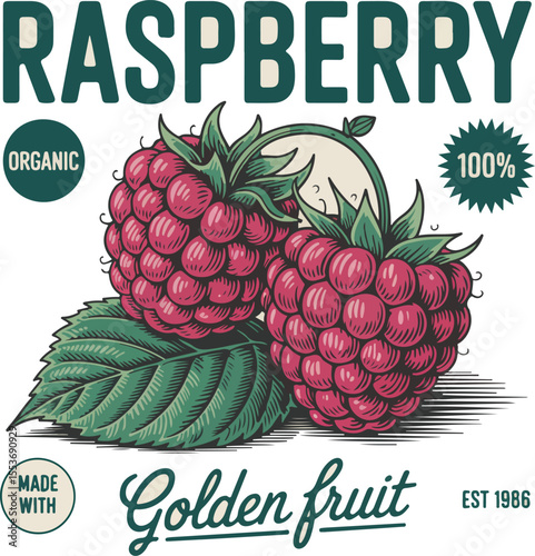 vector illustration of a fresh ripe raspberry t-shirt design