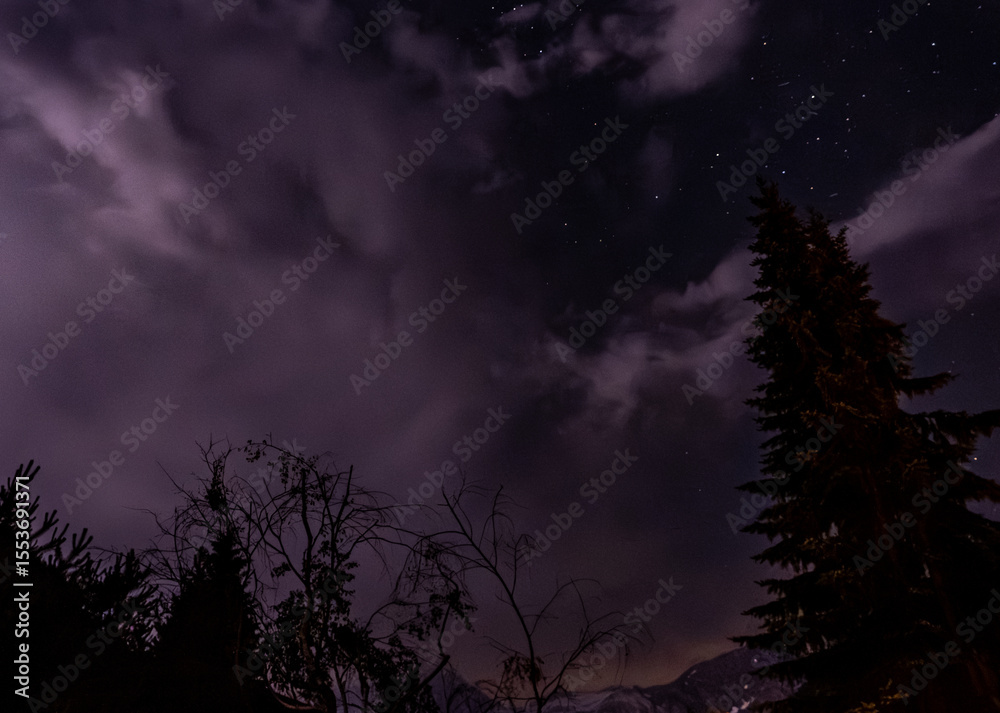 Fototapeta premium Gewitter mit Sternen durch die Bäume