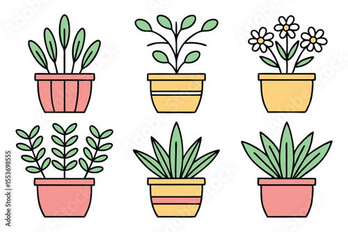 Six potted plants vector illustration green leaves pink yellow pots