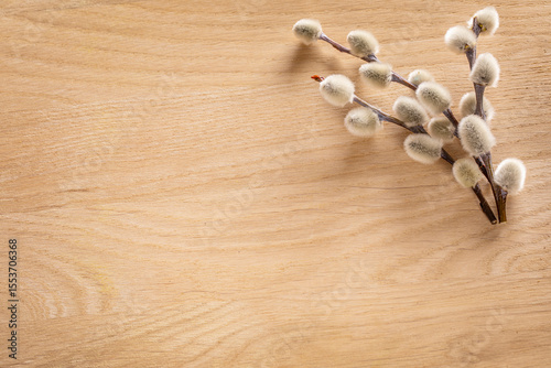 Quadro em tela Bunch of bussy willow twigs on wooden background, copy space