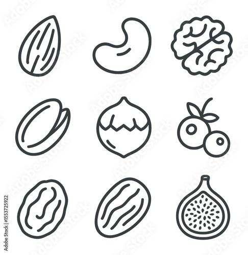 Fruits & Nuts Icons. Outline icon set of fruits & nuts: almond, cashew, walnut, pistachio, hazelnut, cranberry