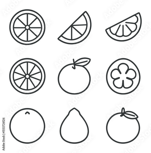 Citrus Icons Grid. Outline icon set of citrus fruits: lemon slice, lime wedge, orange segment, grapefruit half
