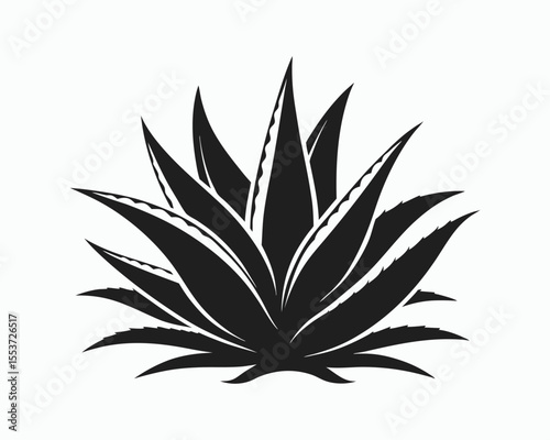 aloe vera silhouette, line art plant, herbal botanical vector, 