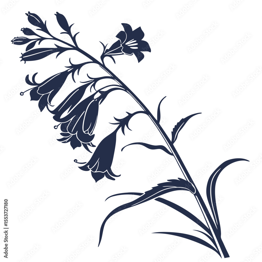 Naklejka premium black and white penstemon