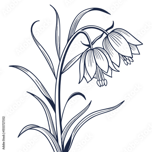 vector illustration of crown imperia