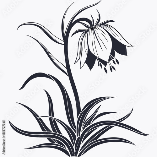 black and white crown imperia