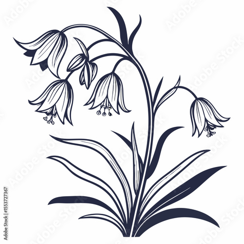 black and white crown imperia