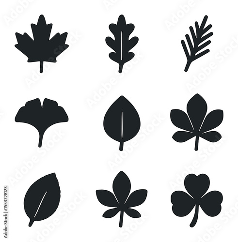 Leaf Types Icons. Solid, filled icons set of leaf types: maple, oak, pine needle, ginkgo, birch, sycamore, elm