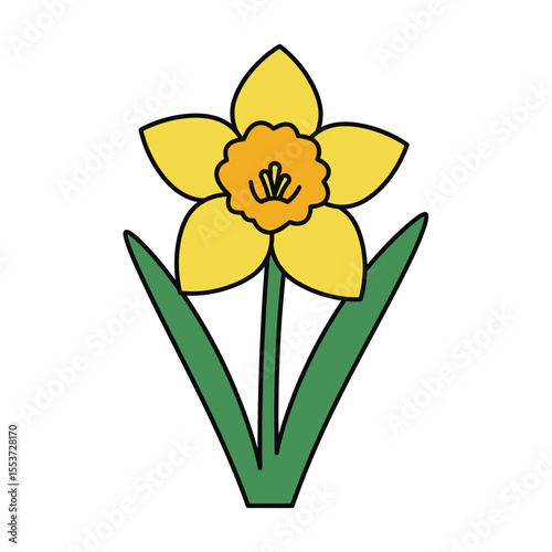 yellow daffodil flower