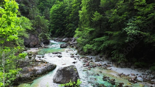Mountain Stream. Orrido dello Slizza, Tarvisio, Friuli Venezia Giulia, Italy