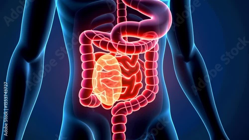 Abdominal pain, stomach ache, intestinal distress. Digestive health. Stomach lining irritation increases discomfort. Intestinal flora balance improves digestion. Poor diet disrupts stomach health.