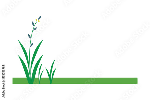 spring grass and flowers