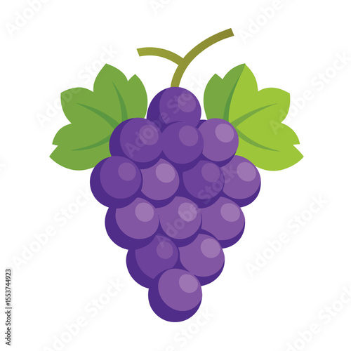 grapevine vector icon on white background