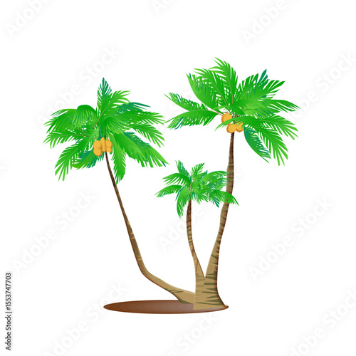 Palm tree vector illustration on white background showing tropical isolated design