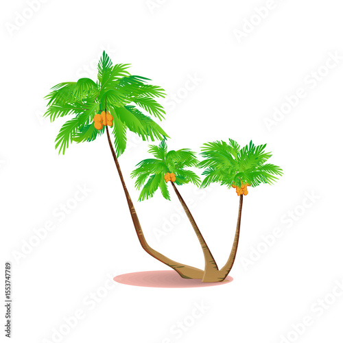 Palm tree vector illustration on white background showing tropical isolated design