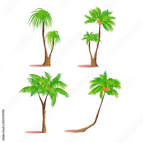 Palm tree vector illustration on white background showing tropical isolated design
