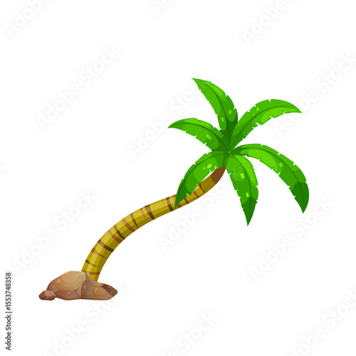 Palm tree vector illustration on white background showing tropical isolated design